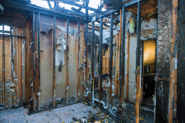 Professional Fire Damage Repair technician working in Montgomery, MN